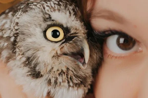 Betitall Casino Tugi